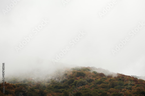 a hill with an autumn forest shrouded in fog (ID: 404768366)
