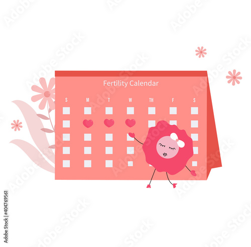 Female fertility calendar concept illustration.