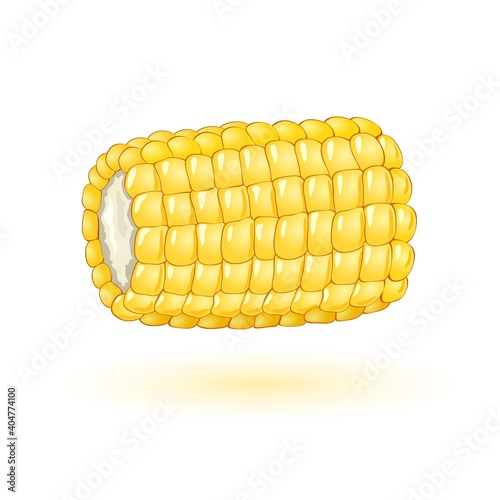 Part of maize noggin, small yellow vitaminized grains, organic and healthy snack. Vector food, cooking, boiled sweet dessert, farm veggie design isolated on white background