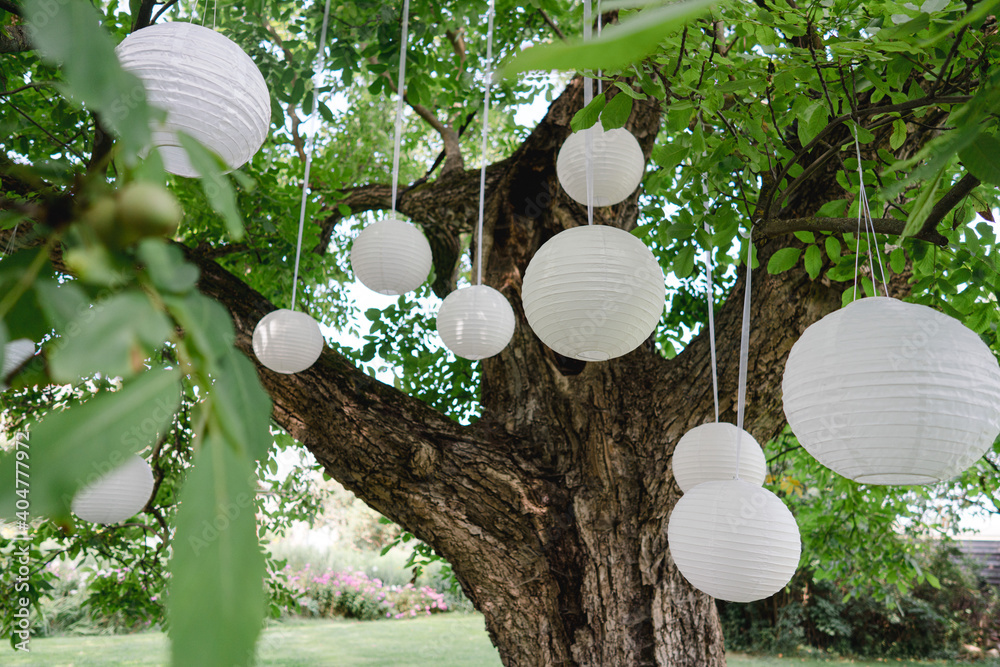 Ταπετσαρία weiße Lampions bzw. Papierlaternen hängen im Baum
