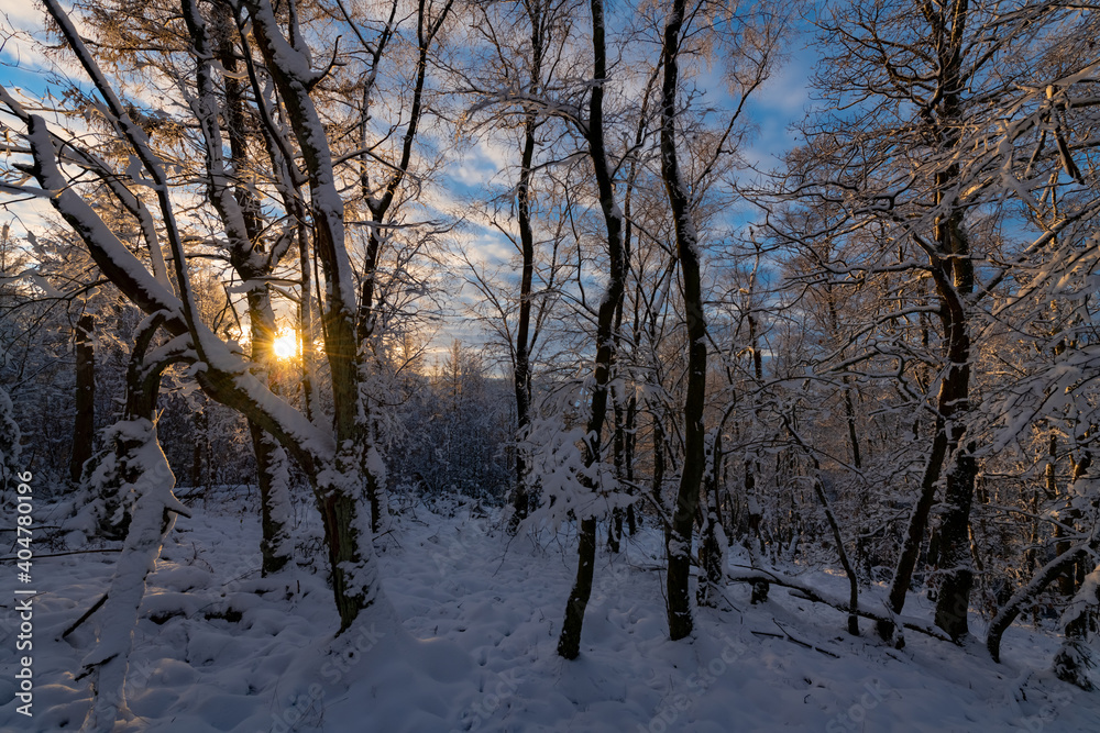 Winter Landschaft Schnee Sauerland Wonderland Idyll Frost weiß Bäume Wald Natur Silhouetten Iserlohn Deutschland Wandern Sonnenuntergang Äste Weihnachten Licht Farben Abend Idyll Panorama Aussicht 