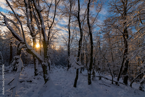 Winter Landschaft Schnee Sauerland Wonderland Idyll Frost weiß Bäume Wald Natur Silhouetten Iserlohn Deutschland Wandern Sonnenuntergang Äste Weihnachten Licht Farben Abend Idyll Panorama Aussicht 