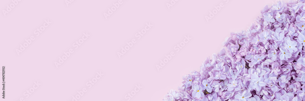 Lilac flowers closeup on tender violet background. Spring flowers for birthday Mothers or Womens Day greeting card. Copy space. Wedding border banner