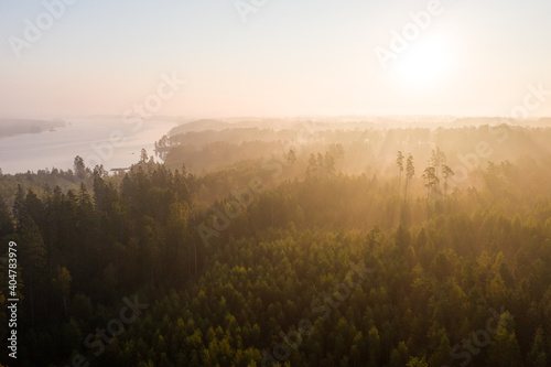 Nebel Schweden Wald