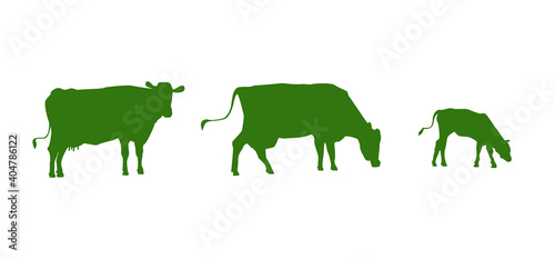 Silhouettes of cows on a white background. Vector illustration