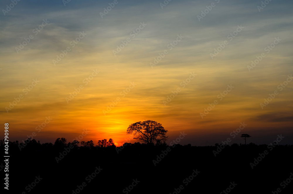 Panorama Big sun behind dark tree and sunset in tropical forest,Thailand,ASIA.