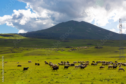 Suphan Mountain was a stratovolcano located just north of Lake Van in the Eastern Anatolia Region. photo