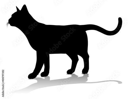 A silhouette cat pet animal...