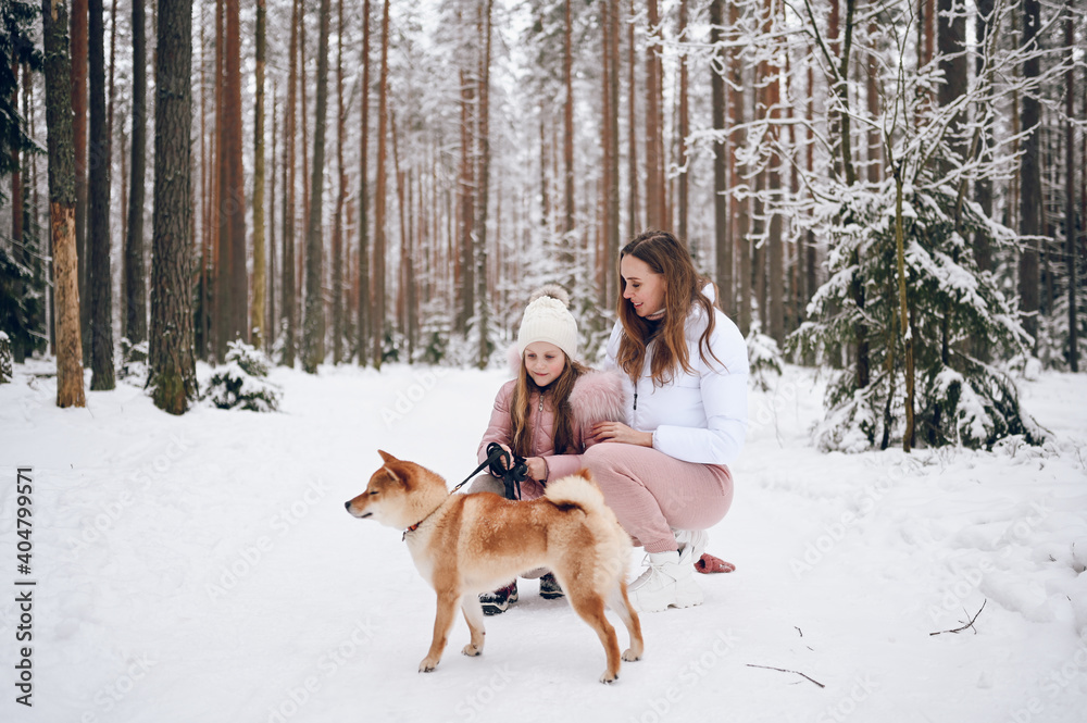 Happy family young mother and little cute girl in pink warm outwear walking having fun with red shiba inu dog in snowy white cold winter forest outdoors. Family sport vacation activities. Happy family young mother and little cute girl in pink warm outwear walking having fun with red shiba inu dog in snowy white cold winter forest outdoors. Family sport vacation activities.