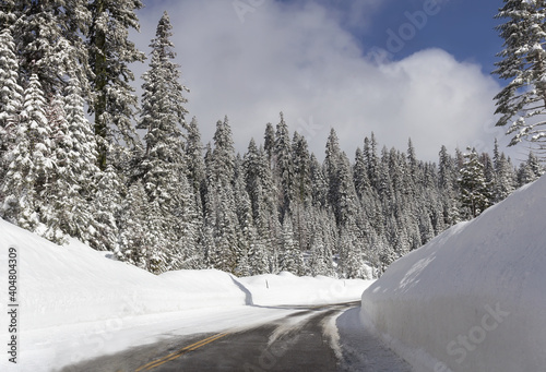 Road in winter forest.