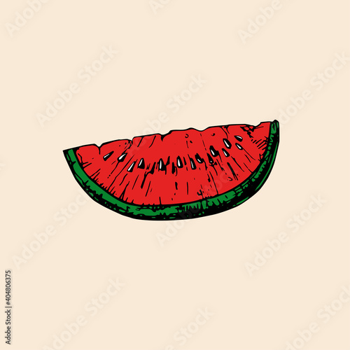 Vector hand sketch of watermelon. Retro illustration.