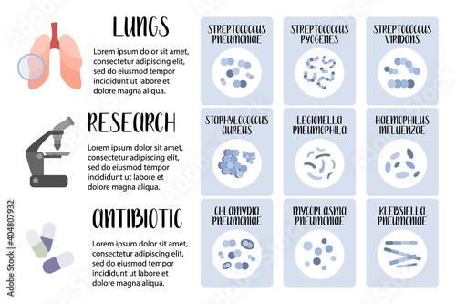 Acute respiratory tract infections. Pathogenic bacteria (cocci, bacilli). Streptococcus, Staphylococcus, Legionella, Klebsiella. Morphology. Microbiology. Vector flat illustration, for medical  flyer