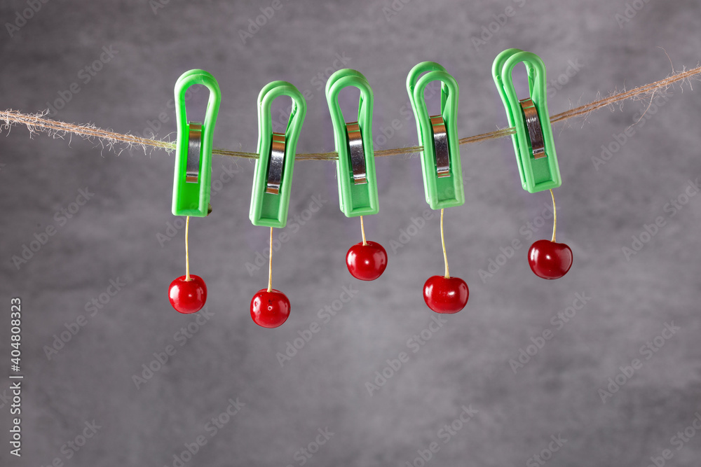 Ripe red cherries on a rope are secured with clothespins Ripe red cherries on a rope are secured with clothespins