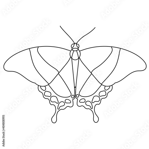 Vector simple outline of a butterfly. Colorless isolated butterfly with an outline for coloring the picture.
