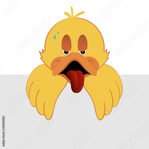 Canard - Fièvreux - Grippe aviaire