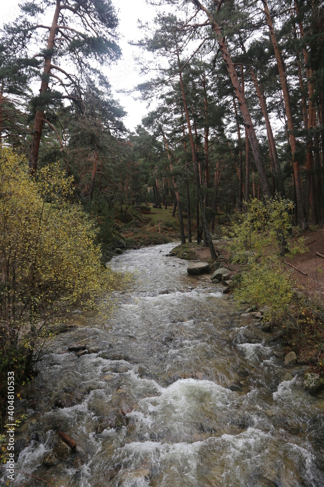Río Río