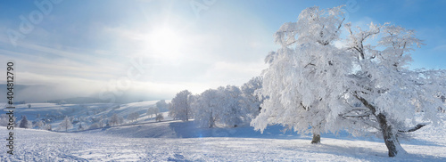Schwarzwald im Winter - Winterlandschaft mit Schnee und Sonne Panorama