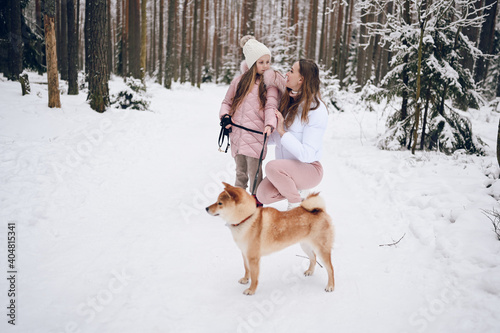 Fototapeta Naklejka Na Ścianę i Meble -  Happy family young mother and little cute girl in pink warm outwear walking having fun with red shiba inu dog in snowy white cold winter forest outdoors. Family sport vacation activities.