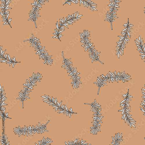Seamless pattern of rosemary branch on brown background. Vector illustration.