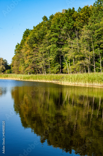 droga leśna, drzewa, dzika przyroda, forest, jesień, krajobraz, landscape, lasy, mazurski krajobraz, mazury, słońce, wildlife, zieleń, słońce, jezioro, lake, warmia, tafla jeziora, promyk słońca