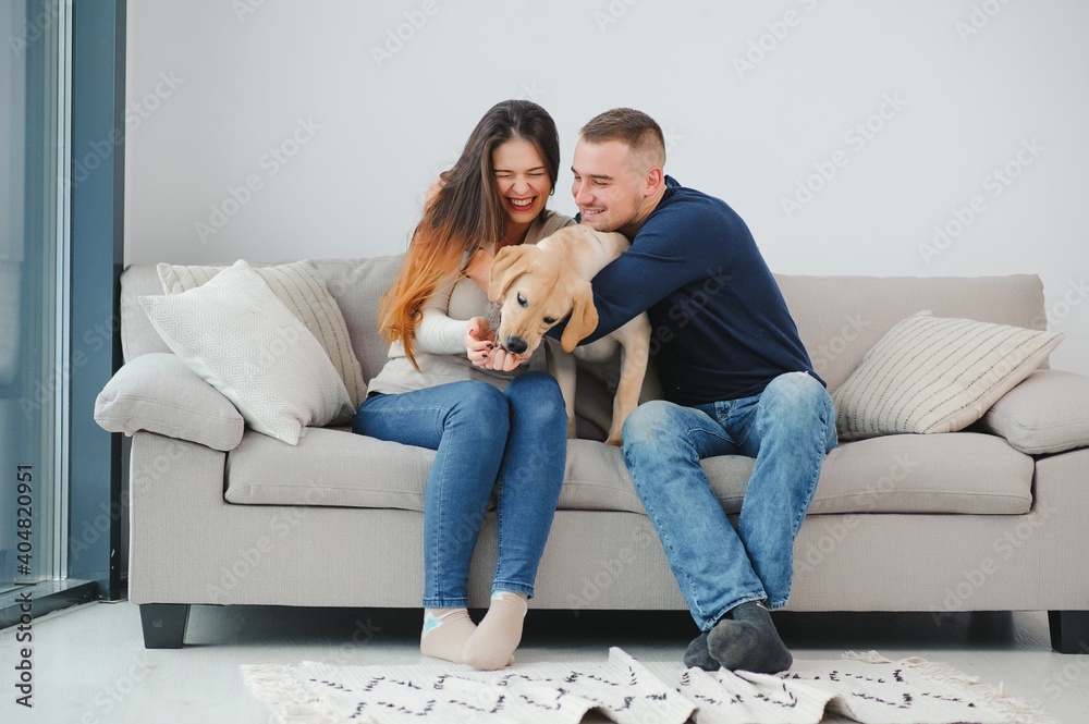 Happy couple with dog in living room Happy couple with dog in living room