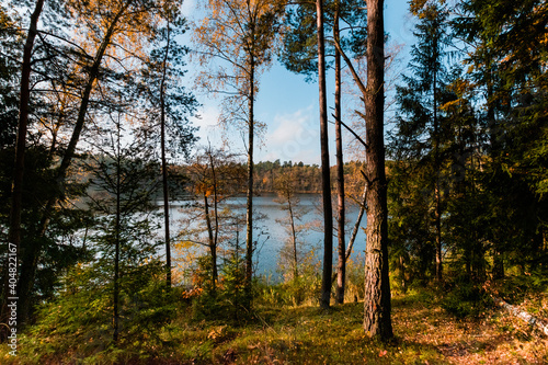 Fototapeta Naklejka Na Ścianę i Meble -  droga leśna, drzewa, dzika przyroda, forest, jesień, krajobraz, landscape, lasy, mazurski krajobraz, mazury, słońce, wildlife, zieleń, słońce, jezioro, lake, warmia, tafla jeziora, promyk słońca