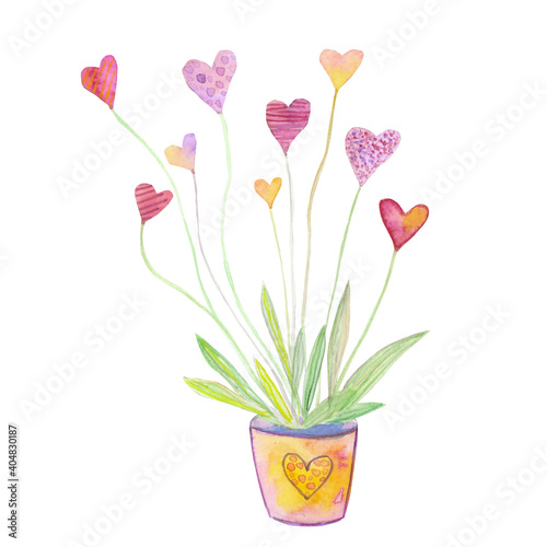 Hearts flower in pot for Valentine day