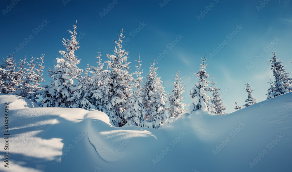 Wonderful Winter Landscape. Awesome Alpine Highlands in Sunny Day. Christmas holyday concept. Winter mountain forest. Snowy mountains and perfect blue sky. Amazing Nature background. postcard