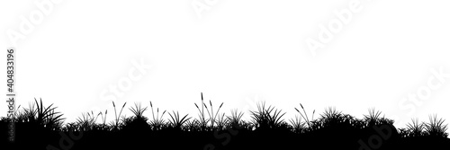 Vector grass isolated on white background