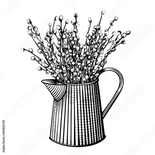 A bouquet of willow in a beautiful vase. Hand-drawn vector illustration. Design for Easter, postcards, printing