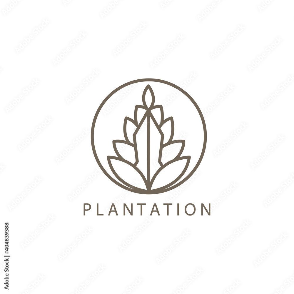 simple leaf line illustration circle logo for plantation design template vector simple leaf line illustration circle logo for plantation design template vector