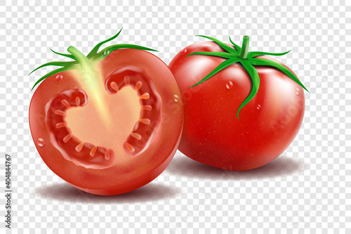 Red tomato and half tomatoes and slice with green leaves realistic vector