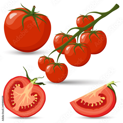 Set of tomatoes, branch with tomatoes, red tomato and half of tomatoes and slice with green leaves flat vector style