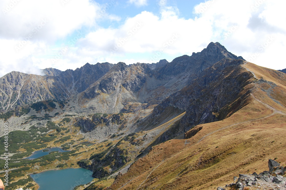 Fototapeta premium Widok na Tatry latem, Zakopane, Polska