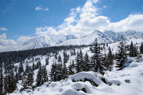 Widok na Tatry zimą, Zakopane, Polska