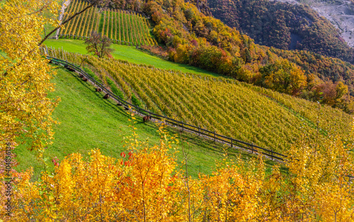 Autumnal view of the valley of the Eisack in South Tyrol - Eisacktal - northern Italy - Europe. Landscape photography