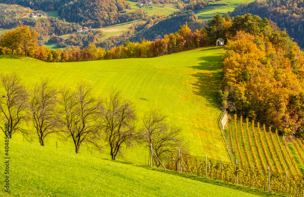 Fototapeta premium Autumnal view of the valley of the Eisack in South Tyrol - Eisacktal - northern Italy - Europe. Landscape photography