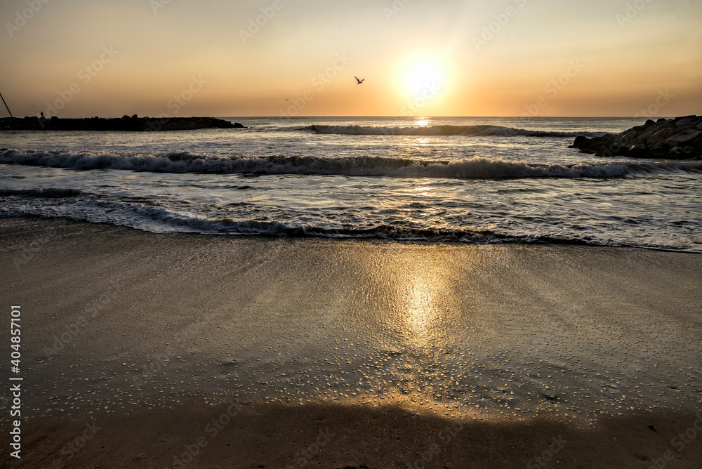 Sunrise in the beach , in Mar del Plata , Argentina             