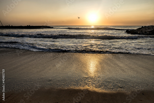 Sunrise in the beach   in Mar del Plata   Argentina             