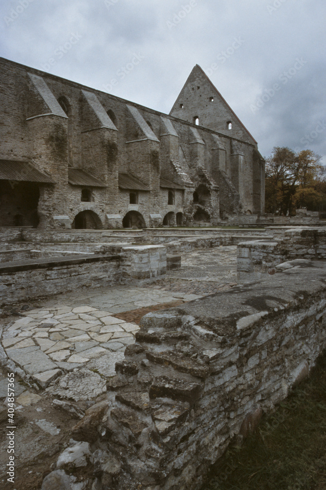 Ruine des Brigittenkloster in Pirita