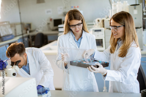 Принти на полотні Group of young researchers analyzing mineral chemical data in the laboratory