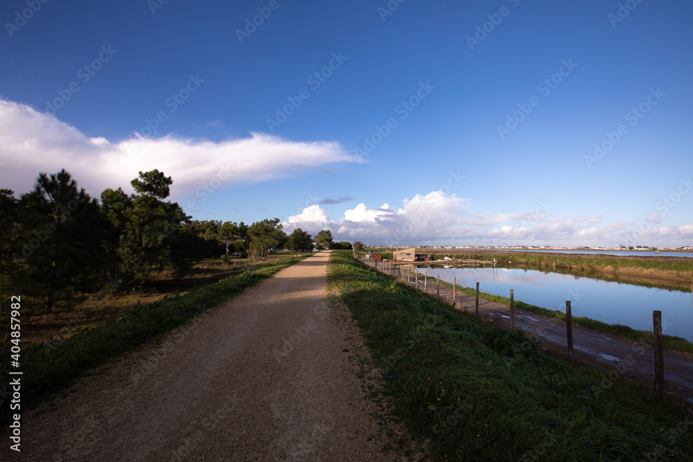 Panoramic view over the wetland, mouth of the Lay river, and the port of l'Aiguillon sur Mer from the dike in la Faute sur Mer, Vendee, France