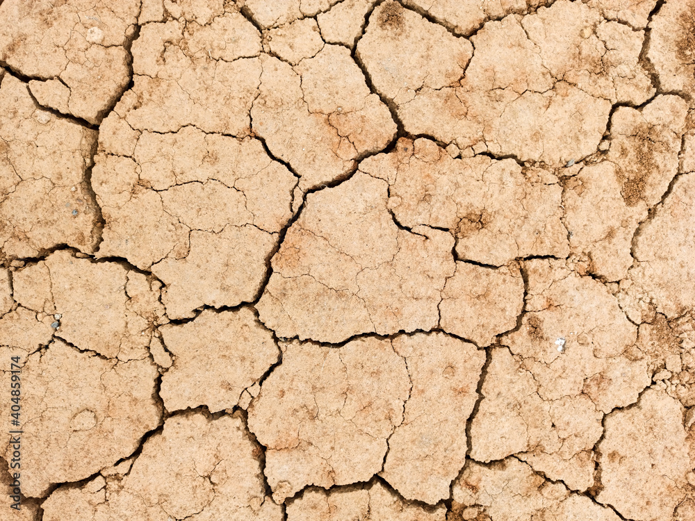 Dry yawning in the cracks, global warming, ecology. Infertile soil. Dry yawning in the cracks, global warming, ecology. Infertile soil.