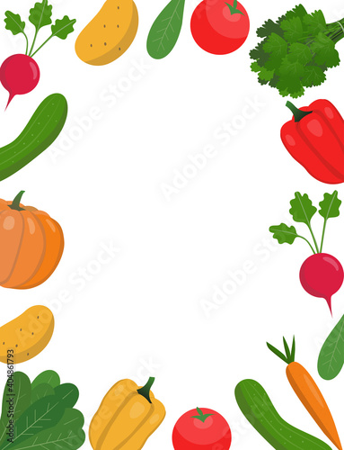 Frame with fresh vagatables on a white