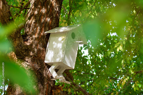 A birdhouse in the foliage on a tree. Fabulous bird house close-up.