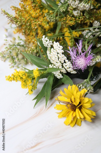 colorful plants from the meadow, wildflowers, yellow flowers, white and purple