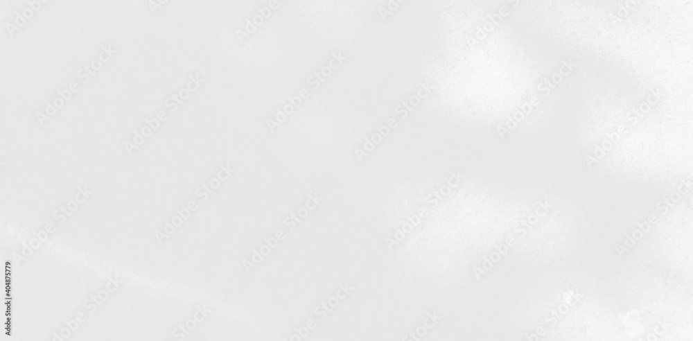 Abstract Shadow. blur background. gray leaves that reflect concrete walls on a white wall surface for blurred backgrounds and monochrome wallpapers. Abstract Shadow. blur background. gray leaves that reflect concrete walls on a white wall surface for blurred backgrounds and monochrome wallpapers.