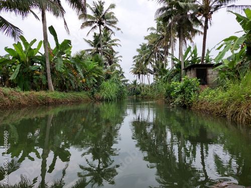 clam river and coconut trees on both side