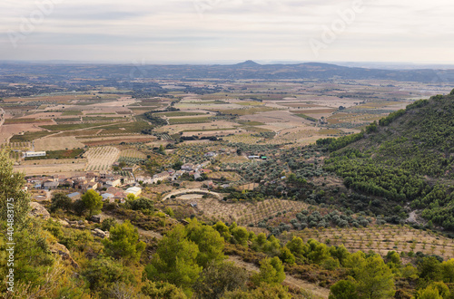 View of vineyards fields of Somontano PDO, Huesca province, Spain