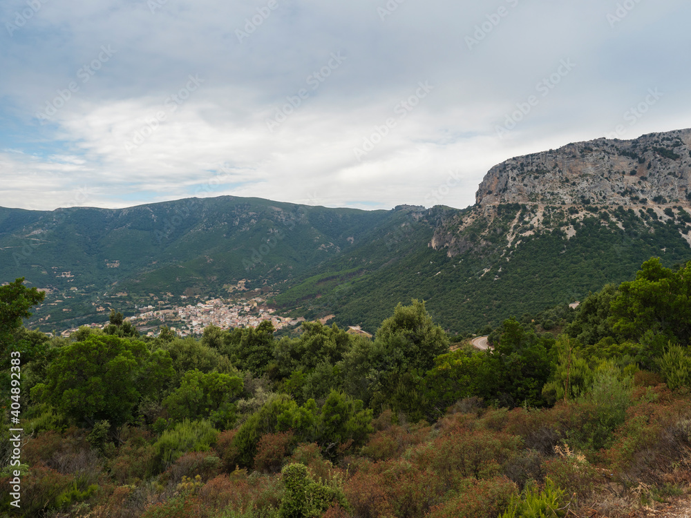Aerial View of green landscape of Supramonte Mountains with Urzulei town, limestone rock and mediterranean vegetation, Region Nuoro, Sardinia, Italy. Summer cloudy day